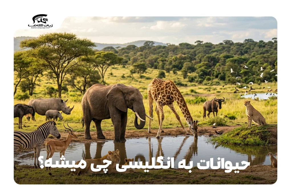 حیوانات به انگلیسی