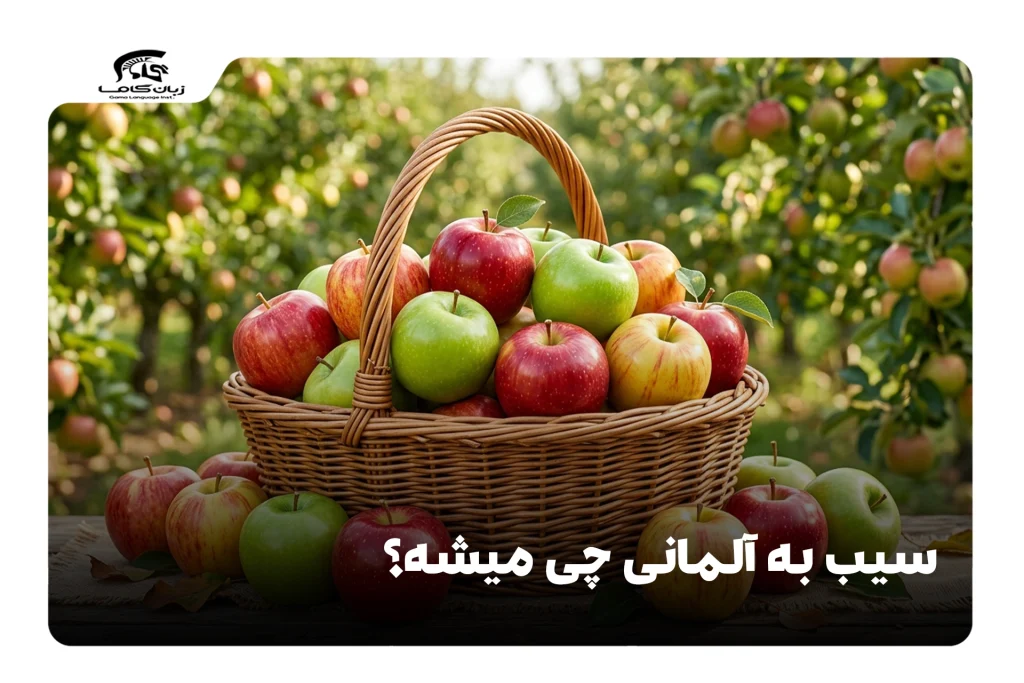 سیب به آلمانی