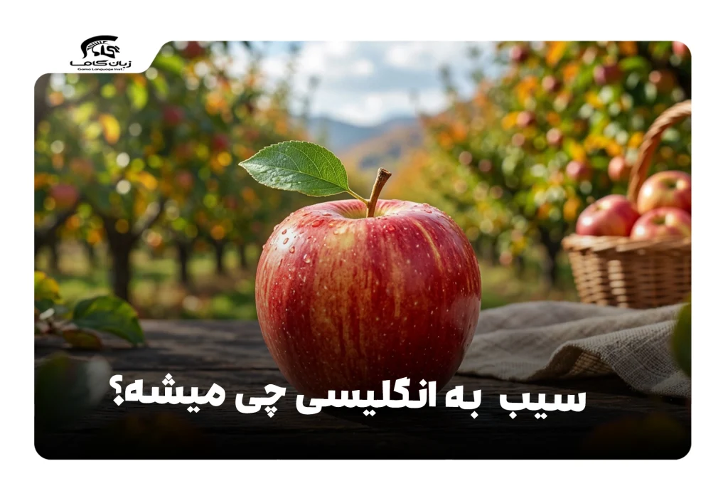 سیب به انگلیسی