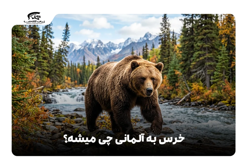 خرس به آلمانی
