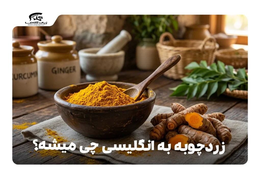 زردچوبه به انگلیسی