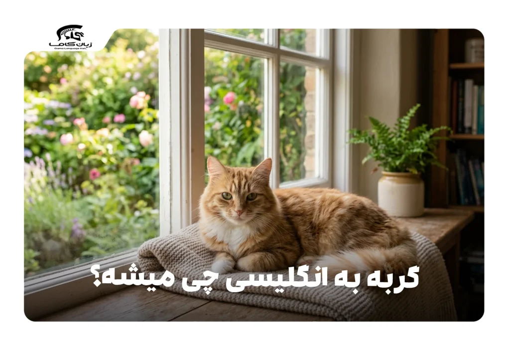 گربه به انگلیسی