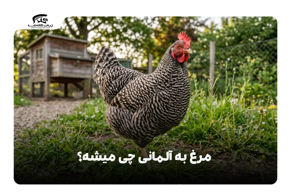 مرغ به آلمانی