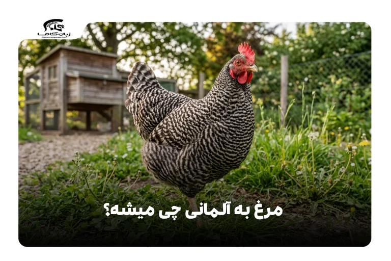 مرغ به آلمانی