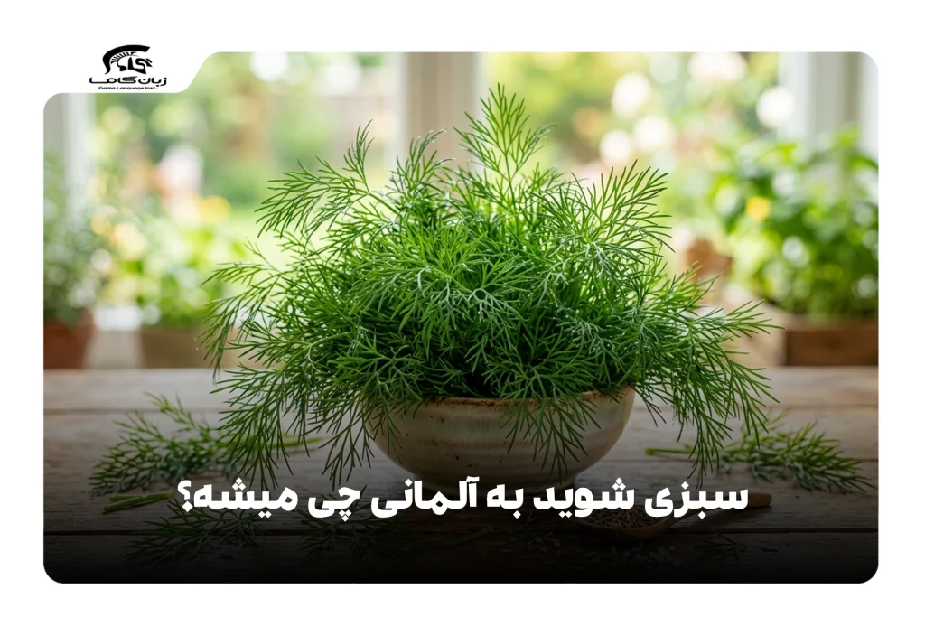 سبزی شوید به آلمانی
