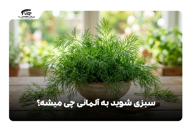 سبزی شوید به آلمانی