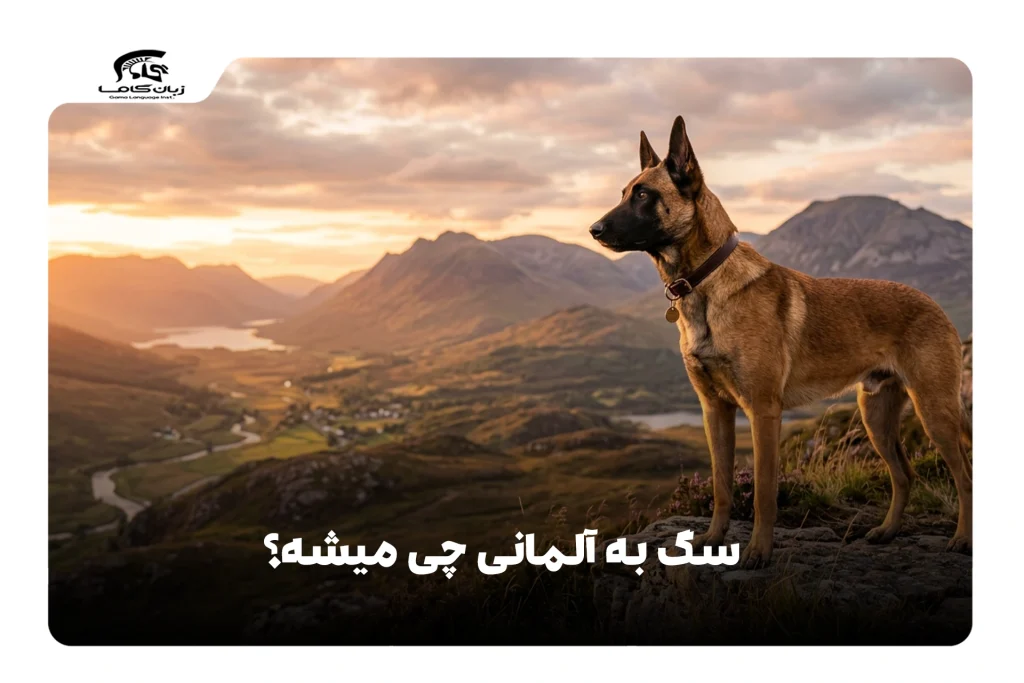 سگ به آلمانی