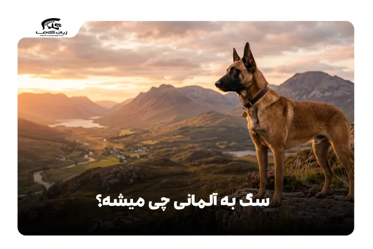 سگ به آلمانی