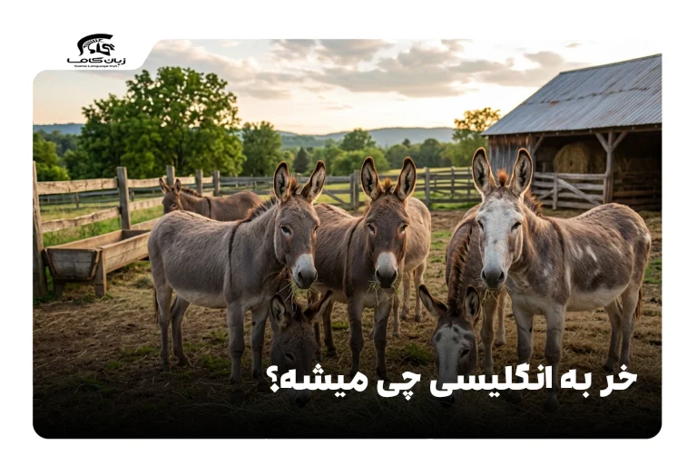 خر به انگلیسی