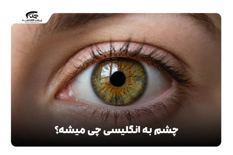 چشم به انگلیسی