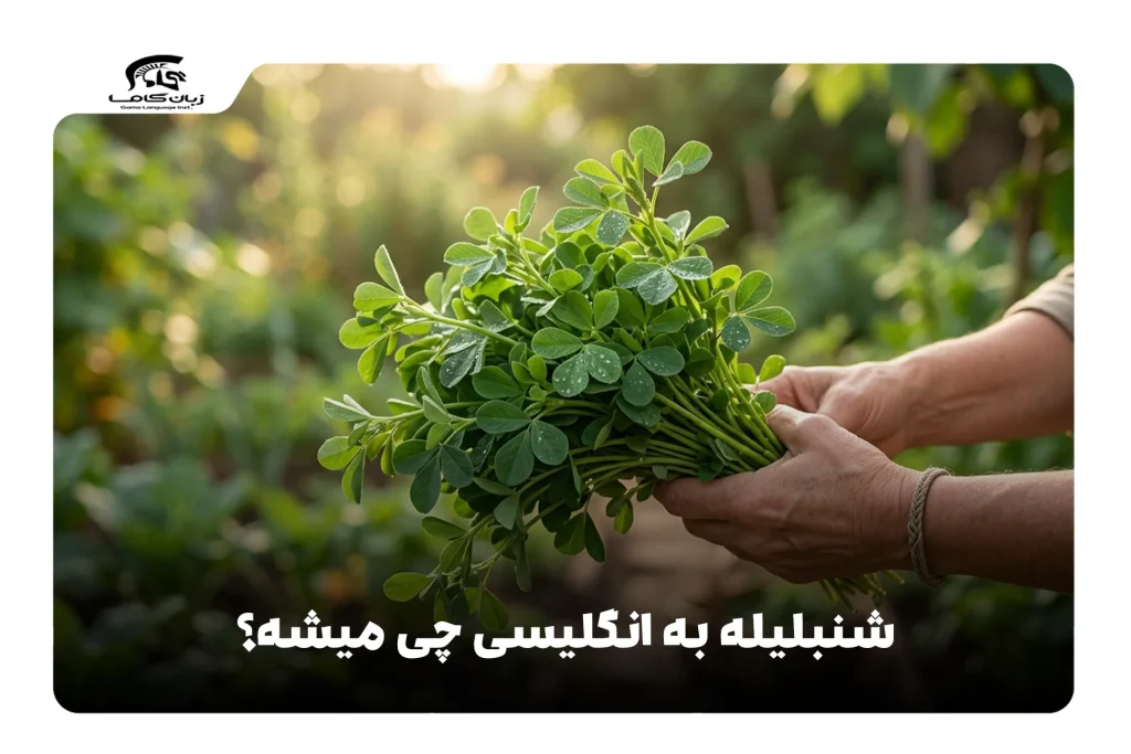 شنبلیله به انگلیسی
