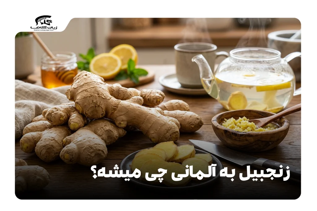 زنجبیل به آلمانی