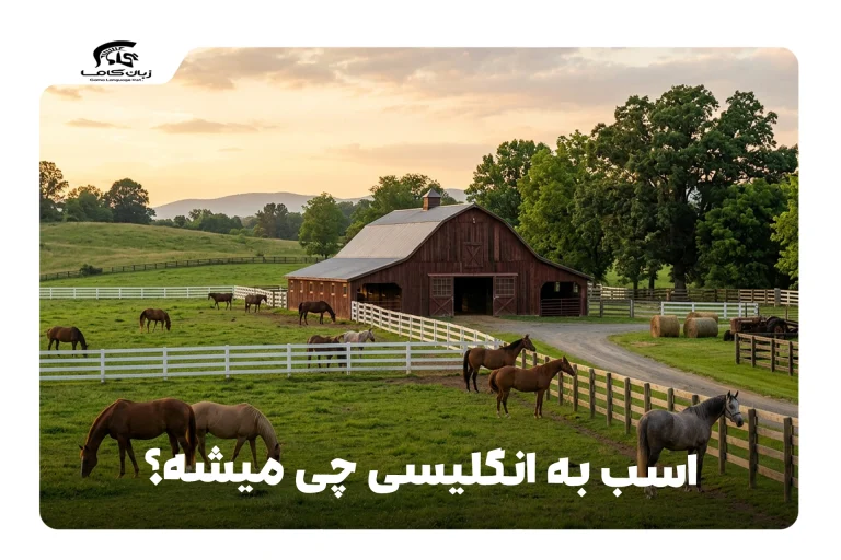اسب به انگلیسی
