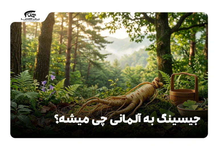 جیسینگ به آلمانی
