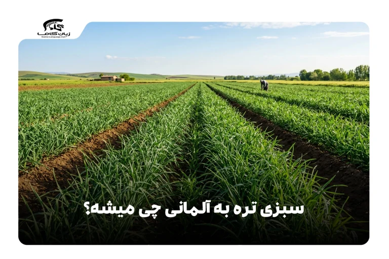 سبزی تره به آلمانی