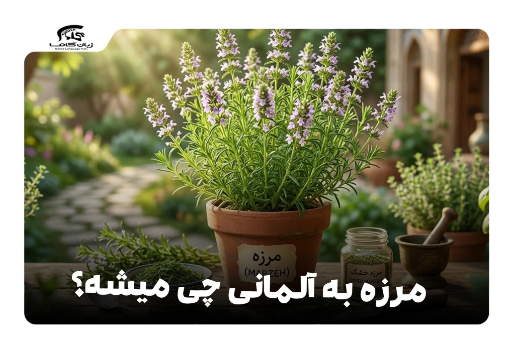مرزه به آلمانی