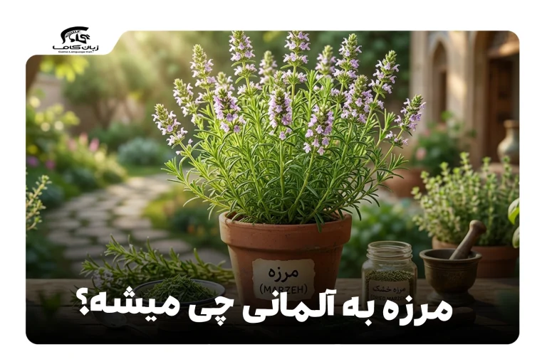 مرزه به آلمانی