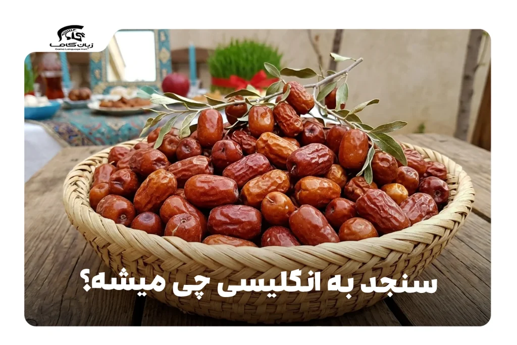 سنجد به انگلیسی