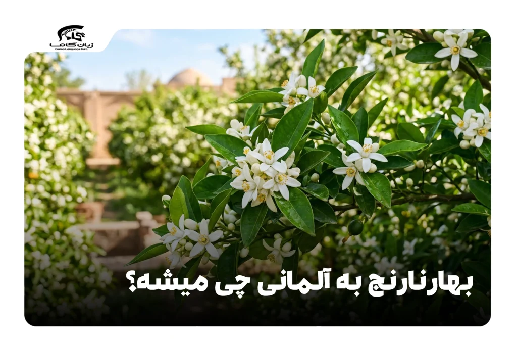 بهار نارنج به آلمانی