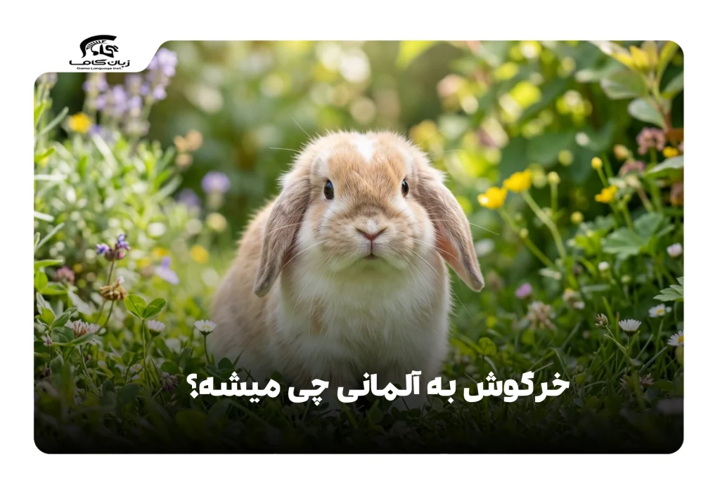 خرگوش به آلمانی