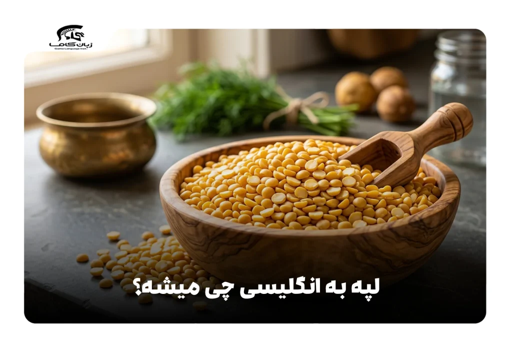 لپه به انگلیسی