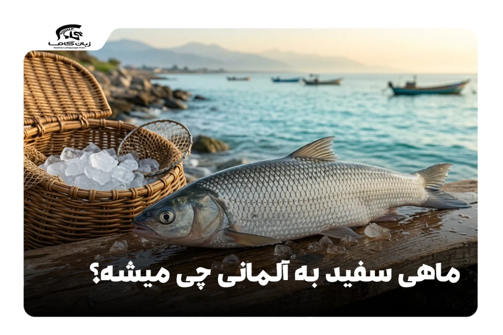 ماهی سفید به آلمانی