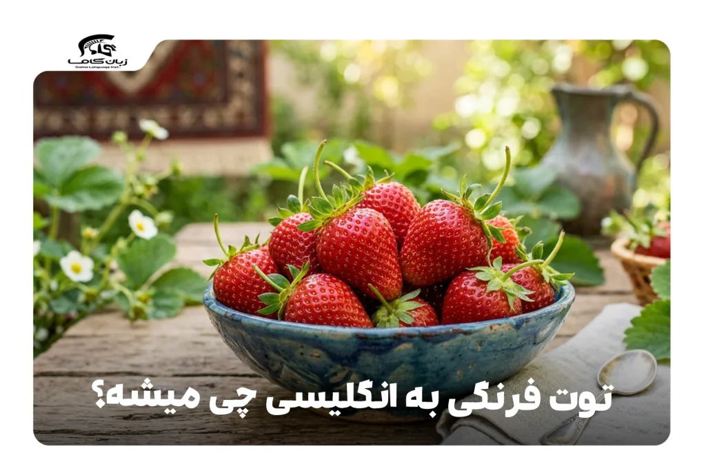 توت فرنگی به انگلیسی