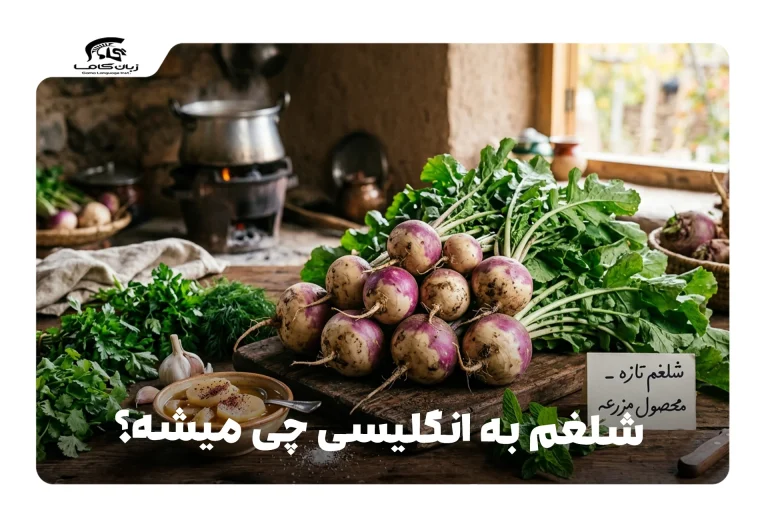 شلغم به انگلیسی