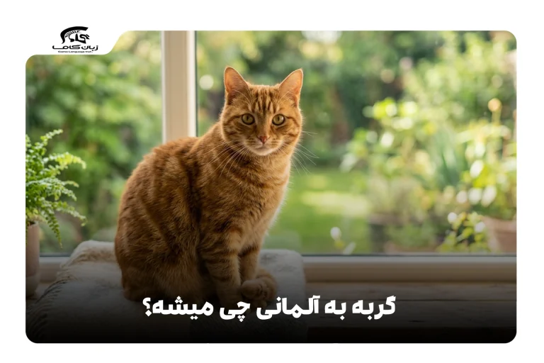 گربه به آلمانی