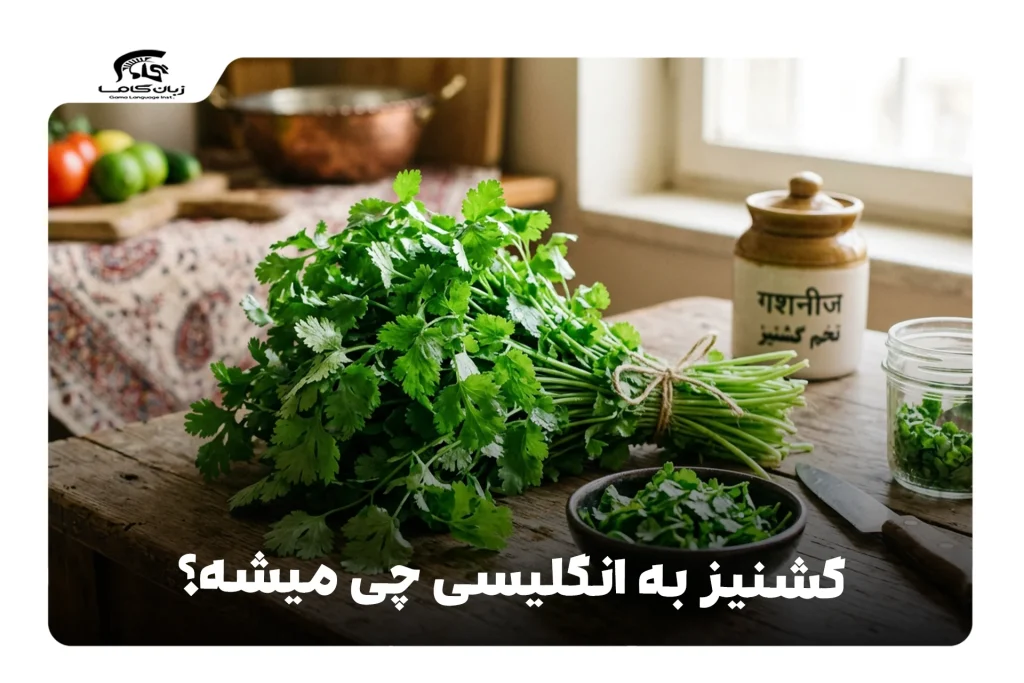گشنیز به انگلیسی