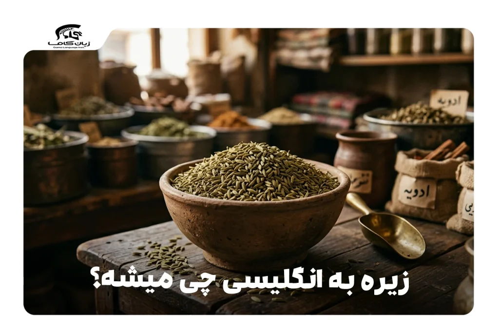 زیره به انگلیسی