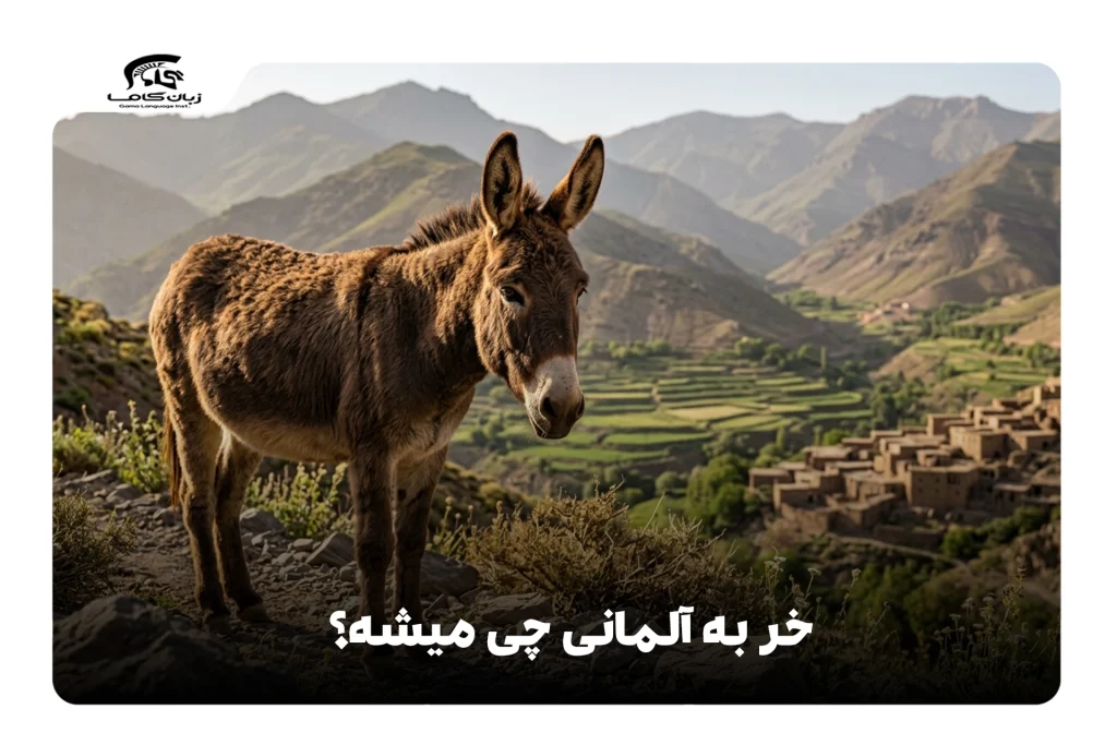 خر به آلمانی