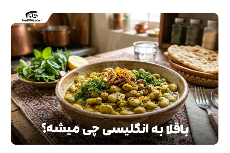 باقلا به انگلیسی