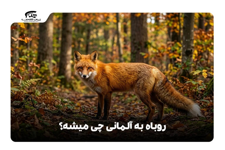 روباه به آلمانی