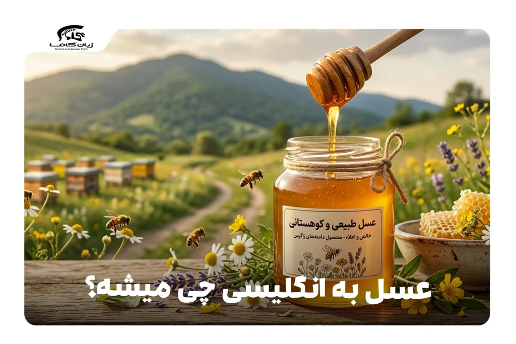 عسل به انگلیسی