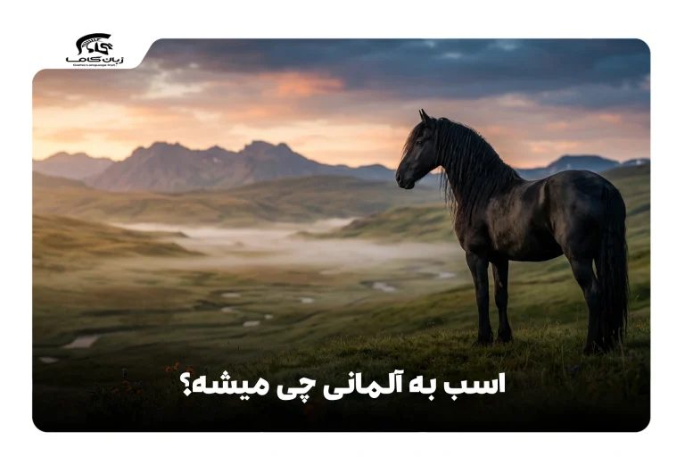 اسب به آلمانی