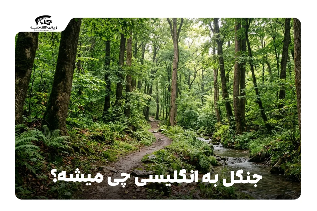 جنگل به انگلیسی