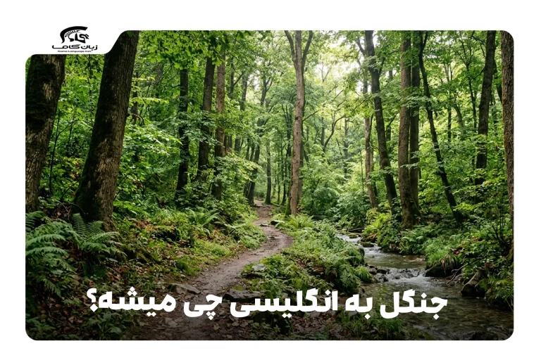 جنگل به انگلیسی