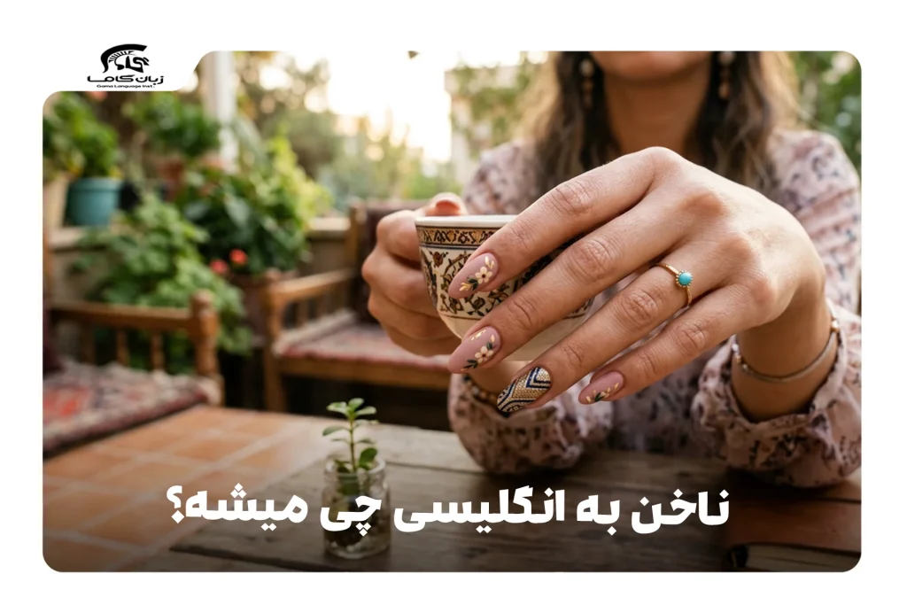 ناخن به انگلیسی