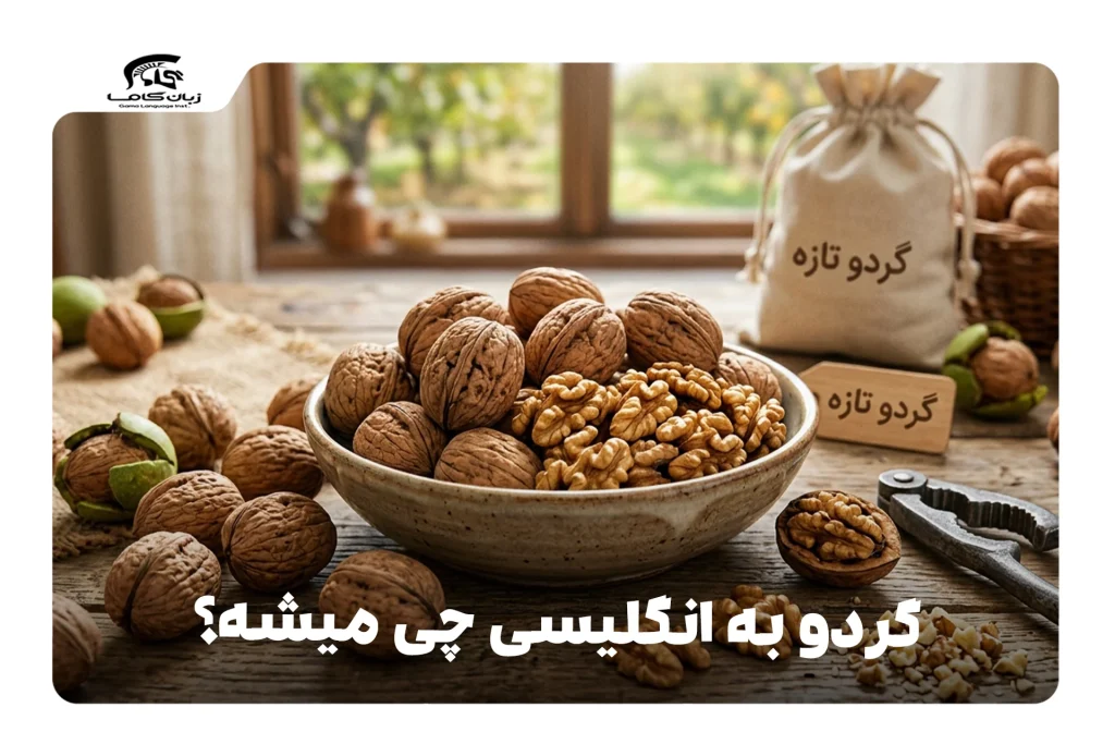 گردو به انگلیسی