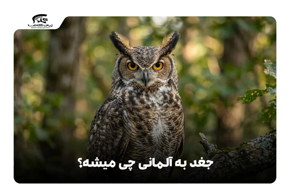 جغد به آلمانی