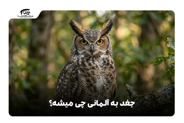 جغد به آلمانی