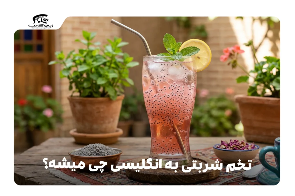 تخم شربتی به انگلیسی