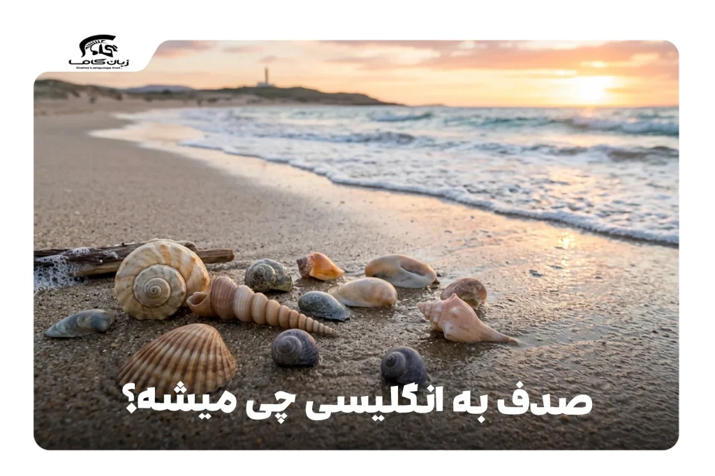صدف به انگلیسی