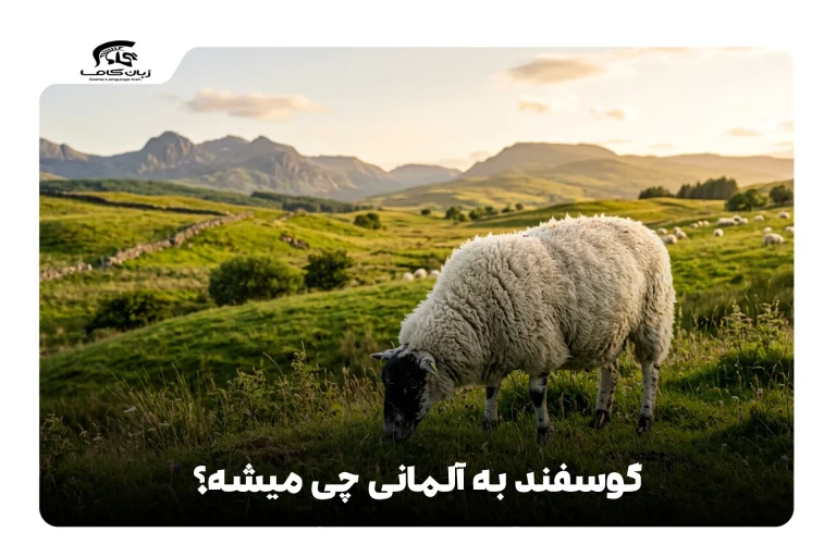 گوسفند به آلمانی