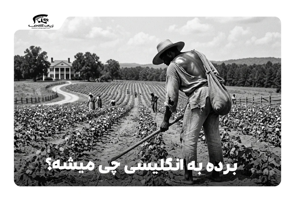 برده به انگلیسی