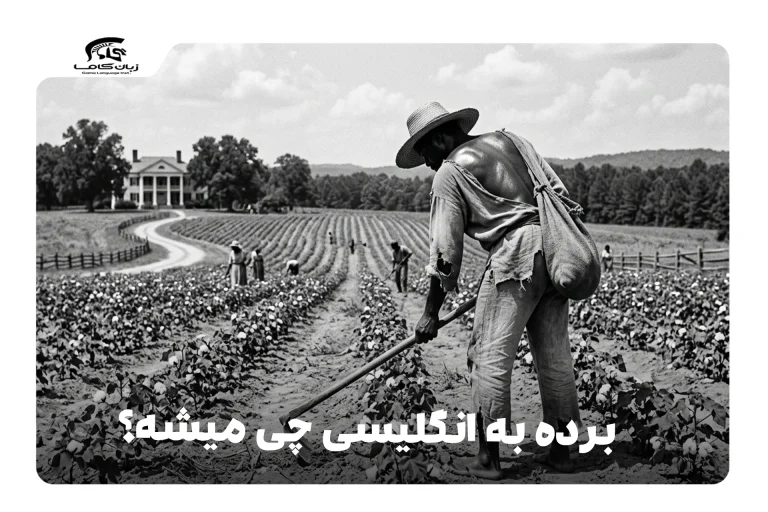 برده به انگلیسی