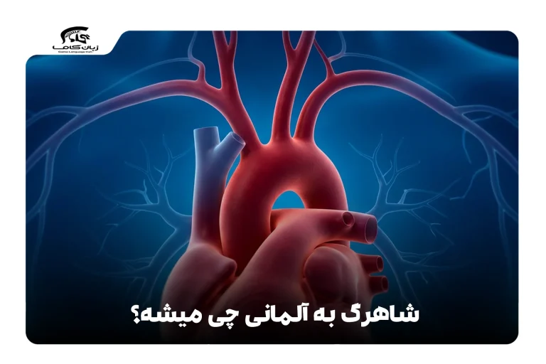 شاهرگ به آلمانی