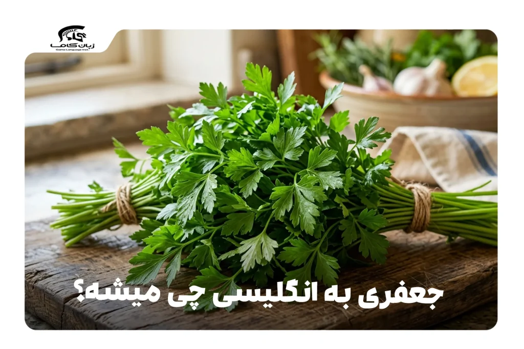 جعفری به انگلیسی