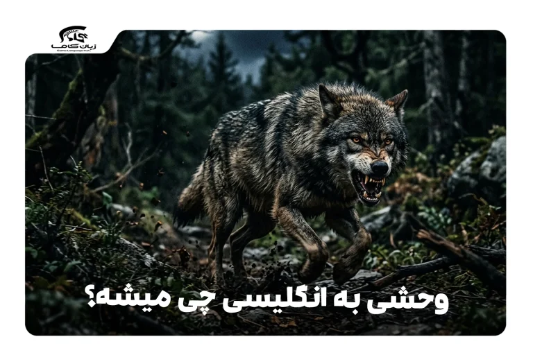 وحشی به انگلیسی